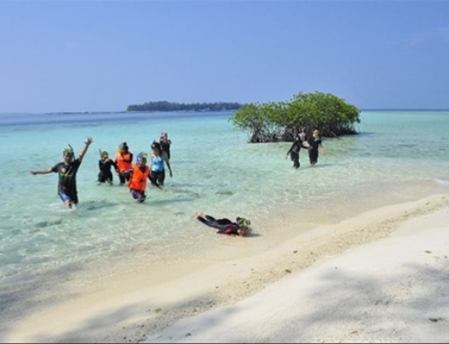 10 Aktivitas Pulau Pari untuk 2 Orang yang Santai dan Seru